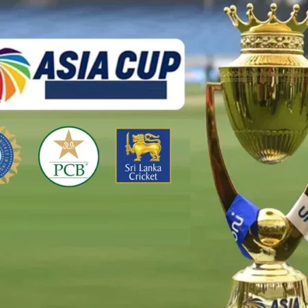 WhatsApp Based Cricket Asia Cup Betting ID